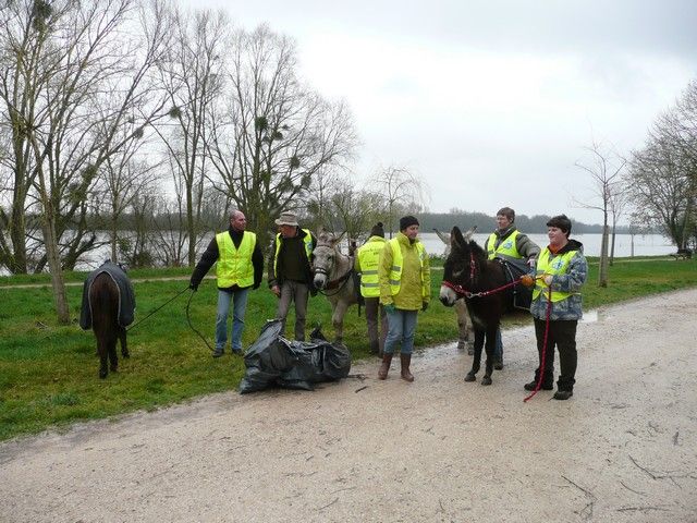 Loire propre 2014 (21).jpg